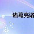 诸葛亮诸葛暗系列（诸葛亮诸葛暗）