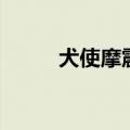 犬使摩震的斗魂手套（犬使摩震）