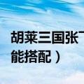胡莱三国张飞技能配置（胡莱三国张飞最新技能搭配）