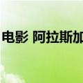 电影 阿拉斯加雪橇犬（阿拉斯加雪橇犬电影）