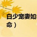 白少宠妻如命(完结+番外)下载（白少宠妻如命）
