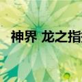 神界 龙之指挥官 事件（神界 龙之指挥官）