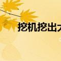 挖机挖出大蛇怎么办（挖机挖出大蛇）
