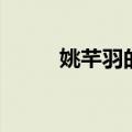 姚芊羽的老公资料（姚芊羽男友）