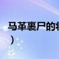 马革裹尸的将领有哪些（马革裹尸的历史人物）