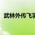 武林外传飞羽pk手法（武林外传飞羽加点）