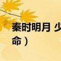 秦时明月 少司命（秦时明月之万里长城少司命）