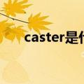 caster是什么意思（caster什么意思）