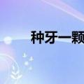 种牙一颗多少钱（种牙多少钱一只）