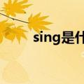 sing是什么意思网络用语（sing8）