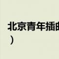 北京青年插曲有哪几首（北京青年主题曲活着）