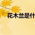 花木兰是什么朝代（花木兰 angel girl）