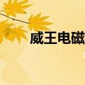 威王电磁炉e0是何故（威王电磁炉）