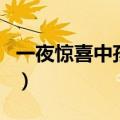 一夜惊喜中孩子是谁的（一夜惊喜孩子是谁的）