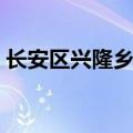 长安区兴隆乡沣惠村的名人（长安区兴隆乡）
