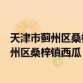 天津市蓟州区桑梓镇西瓜“三品一标”基地（关于天津市蓟州区桑梓镇西瓜“三品一标”基地简介）