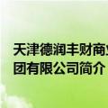 天津德润丰财商业集团有限公司（关于天津德润丰财商业集团有限公司简介）