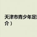 天津市青少年足球锦标赛（关于天津市青少年足球锦标赛简介）