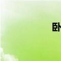 卧槽可以啊（卧槽族）