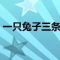 一只兔子三条色龙成语（一只兔子三条色龙）