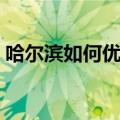 哈尔滨如何优化搜索引擎（黑龙江百度推广）