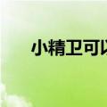 小精卫可以提炼吗（小精卫怎么加点）