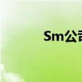 Sm公司新女团（sm新出女团）