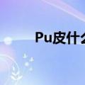 Pu皮什么意思（pu皮是什么意思）