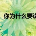 你为什么要说谎歌曲（你为什么说谎 歌词）