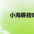 小海豚按摩器的作用（小海豚按摩器）