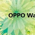  OPPO Watch手表使用语音助手的设置