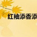 红袖添香添香小说网（红袖添香中文网）