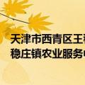天津市西青区王稳庄镇农业服务中心（关于天津市西青区王稳庄镇农业服务中心简介）