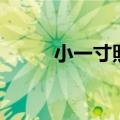 小一寸照片的尺寸是多少（小一）