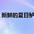 新鲜的夏日鲈鱼烹饪图纸（新鲜的夏日鲈鱼）
