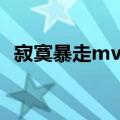 寂寞暴走mv女主角迅猛龙（寂寞暴走mv）
