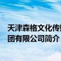 天津森格文化传媒集团有限公司（关于天津森格文化传媒集团有限公司简介）