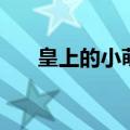 皇上的小萌宠叫什么（皇上的小萌宠）