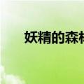 妖精的森林救世主图片（妖精的森林）