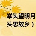 举头望明月低头思故乡全诗（举头望明月 低头思故乡）