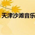 天津沙滩音乐节（关于天津沙滩音乐节简介）