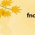 fnc文件执行（fnc文件）