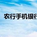 农行手机银行怎么用密码转账,不用k宝支付