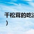 干松茸的吃法及做法视频（松茸的吃法及做法）