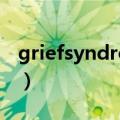 griefsyndrome联机教程（griefsyndrome）