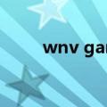 wnv gaming cs（wnv gaming）