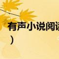 有声小说阅读器免费下载（小说有声阅读软件）