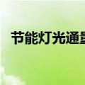节能灯光通量是什么意思（节能灯光通量）