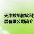 天津数酷智软科技发展有限公司（关于天津数酷智软科技发展有限公司简介）