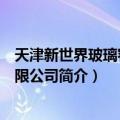 天津新世界玻璃容器有限公司（关于天津新世界玻璃容器有限公司简介）